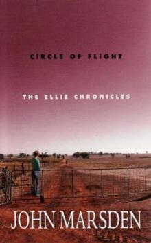 Circle of Flight Read online