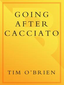 Going After Cacciato Read online
