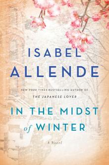 In the Midst of Winter Read online