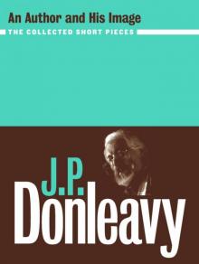 J.P. Donleavy: An Author and His Image Read online