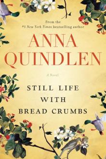 Still Life With Bread Crumbs: A Novel Read online
