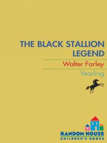 The Black Stallion Legend Read online