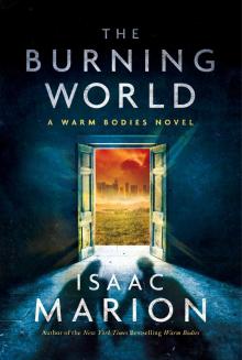 The Burning World Read online