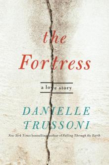 The Fortress Read online