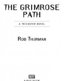 The Grimrose Path Read online