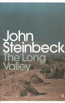 The Long Valley Read online