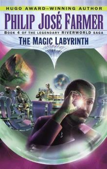 The Magic Labyrinth Read online