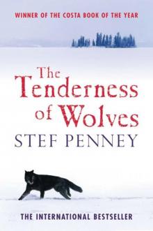 The Tenderness of Wolves Read online