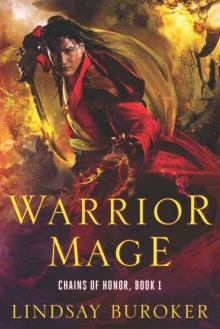 Warrior Mage Read online