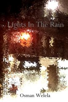 Lights In The Rain Read online