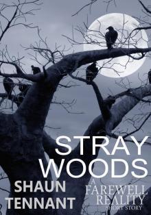 Stray Woods Read online