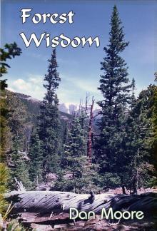 Forest Wisdom Read online