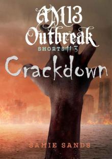 AM13 Outbreak Shorts (Book 3): Crackdown Read online