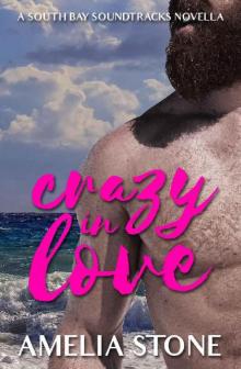 Crazy In Love (South Bay Soundtracks) Read online
