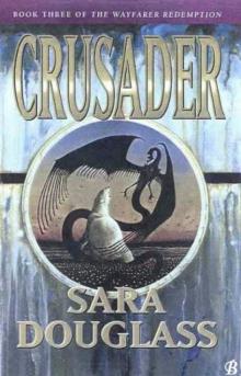 Crusader Read online