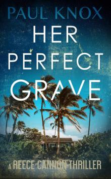 Her Perfect Grave: A completely addictive mystery thriller full of action and adventure (A Reece Cannon Thriller Book 6) Read online