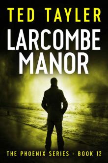 Larcombe Manor Read online