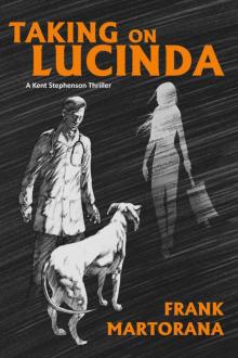 Taking On Lucinda Read online