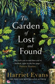 The Garden of Lost and Found Read online