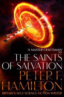 The Saints of Salvation [British Ed.] Read online