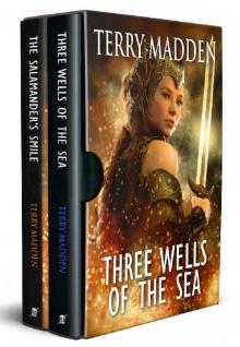 Three Wells of the Sea Series Box Set: Three Wells of the Sea and The Salamander's Smile Read online