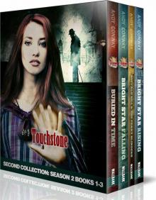 Touchstone Season Two Box Set Read online