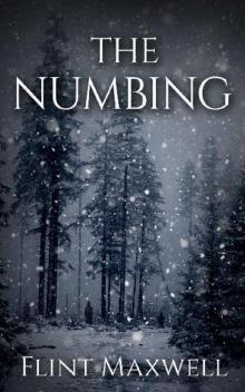 Whiteout (Book 3): The Numbing Read online