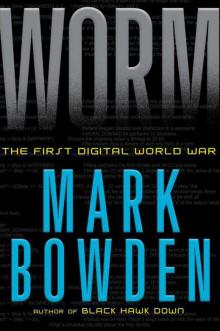Worm: The First Digital World War Read online