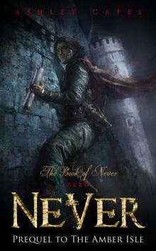Never (Prequel to The Amber Isle) Read online