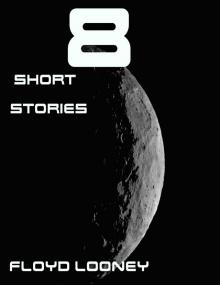 8 Short Stories Read online