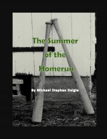 The Summer of the Homerun Read online