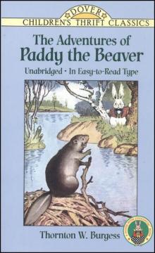 The Adventures of Paddy Beaver Read online