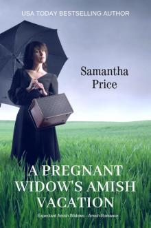 A Pregnant Widow's Amish Vacation Read online