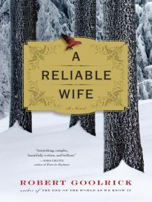 A Reliable Wife Read online