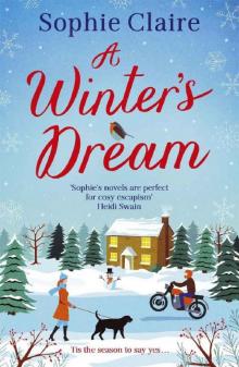 A Winter's Dream Read online