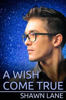 A Wish Come True Read online