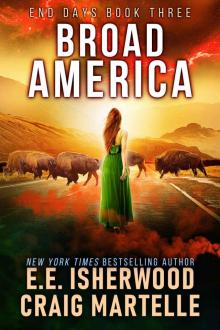 Broad America: A Post-Apocalyptic Adventure (End Days Book 3) Read online