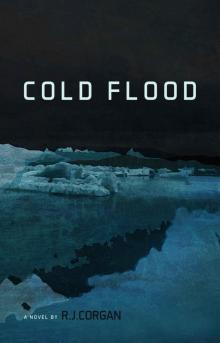 Cold Flood (Kea Wright Mysteries Book 1) Read online