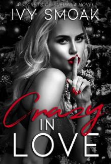 Crazy In Love: A Standalone Christmas Thriller Read online