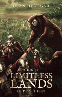 Limitless Lands Book 4: Opposition (A LitRPG Adventure) Read online