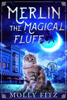 Merlin the Magical Fluff (A Hilarious Mystery with a Witchy Cat and his Human Familiar) Read online