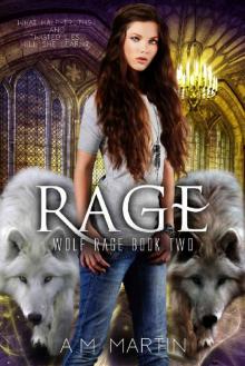 Rage (Wolf Rage Book 2) Read online