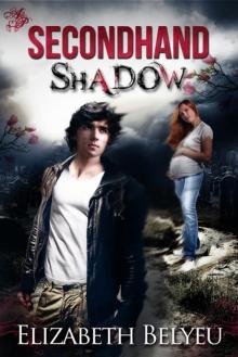 Secondhand Shadow Read online