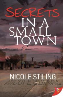 Secrets in a Small Town Read online
