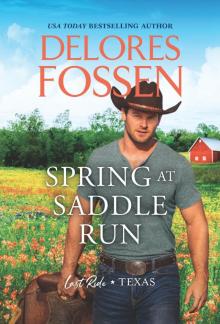 Spring at Saddle Run Read online