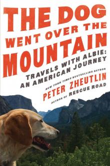 The Dog Went Over the Mountain Read online