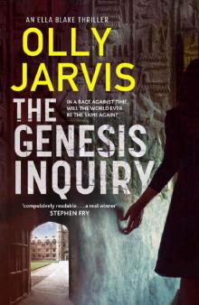 The Genesis Inquiry Read online