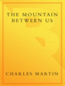 The Mountain Between Us Read online