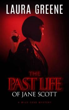 The Past Life of Jane Scott (A Wild Cove Mystery Book 4) Read online