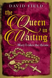 The Queen In Waiting: Mary Tudor takes the throne (The Tudor Saga Series Book 5) Read online